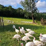 Haus Eselsblick 아파트 Briedeler Heck