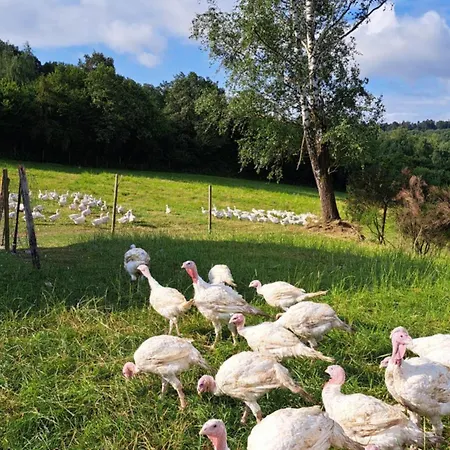 Haus Eselsblick شقة Briedeler Heck