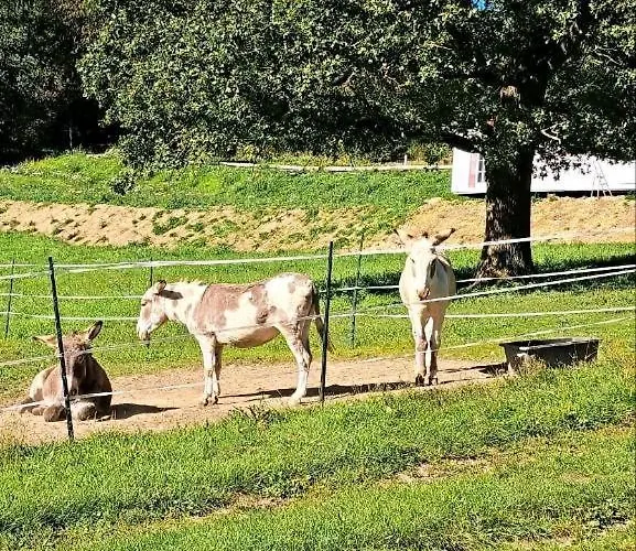 Haus Eselsblick Apartamento *