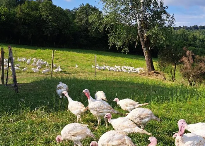 Haus Eselsblick Apartamento Briedeler Heck