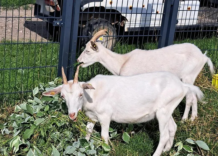 Haus Eselsblick Apartamento *