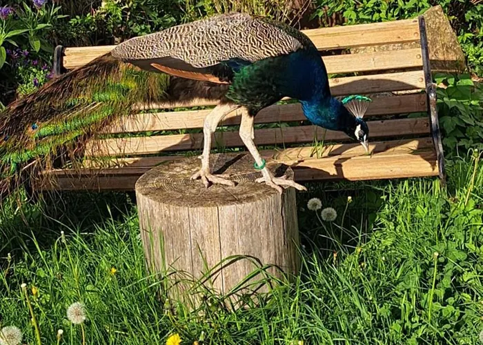 Haus Eselsblick Apartamento